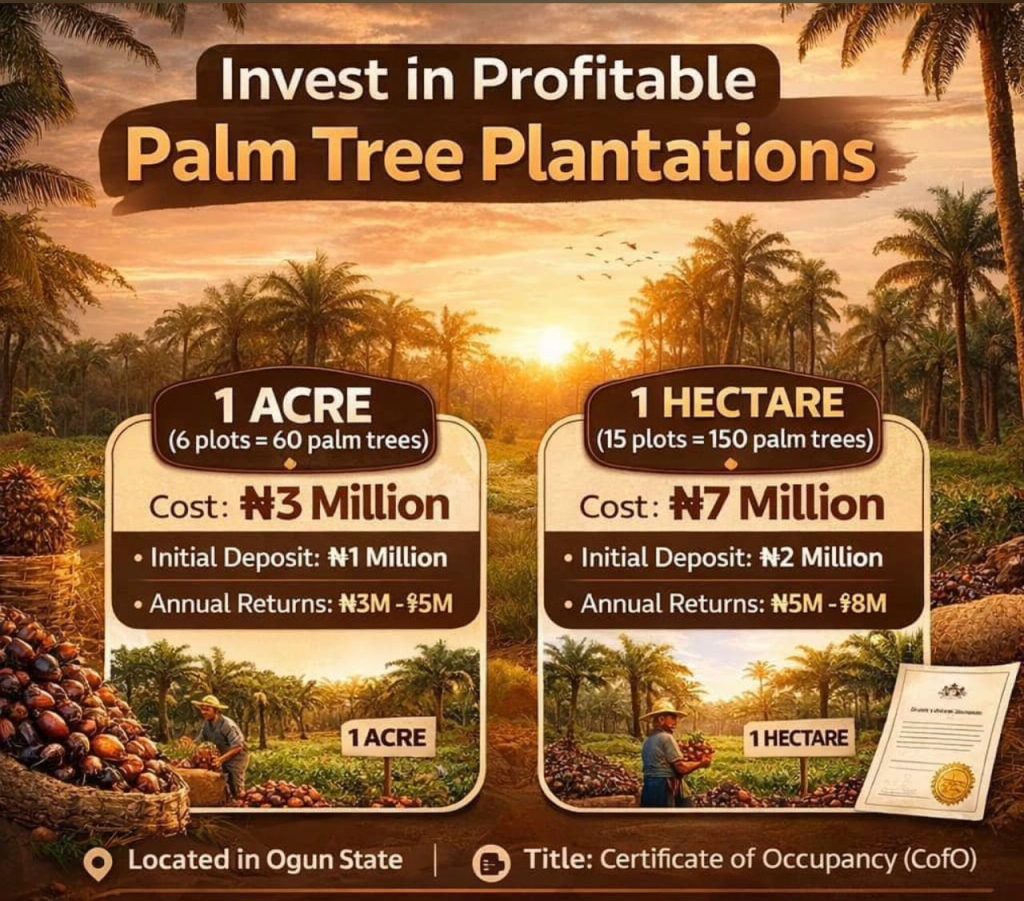Unlocking the Investment Potential of Oil Palm Plantations
